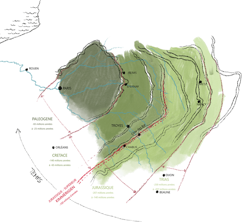 Niche Champagnes